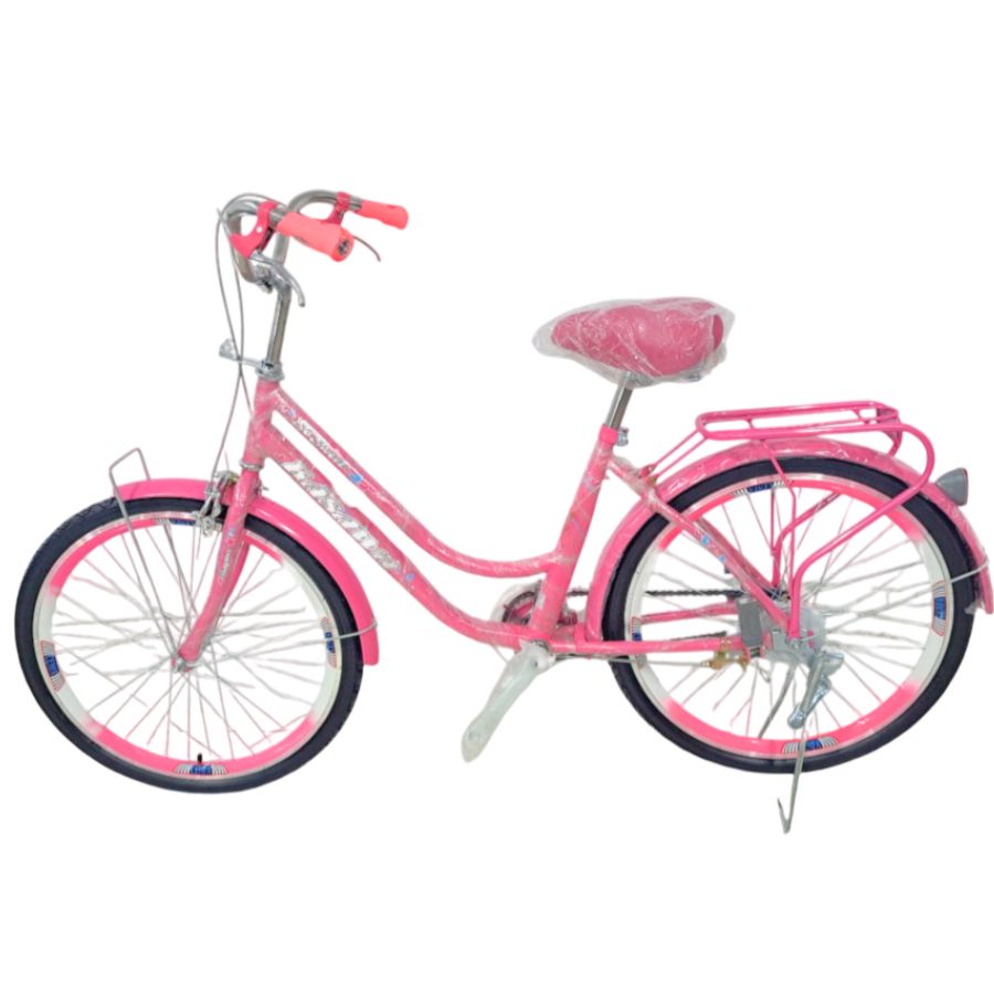 XE ĐẠP NỮ KASAWA BÁNH 24